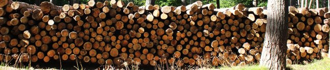holzstapel-IMG_8670